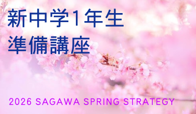SAGAWA 2次試験対策