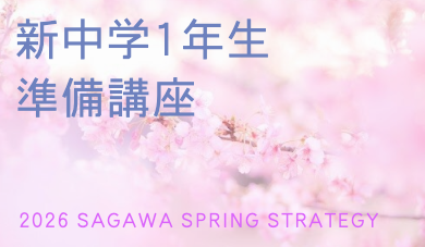 SAGAWA 2次試験対策